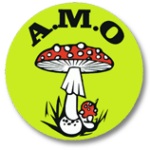 Amo