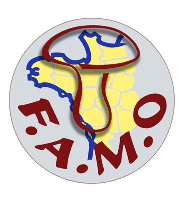 Logo Famo
