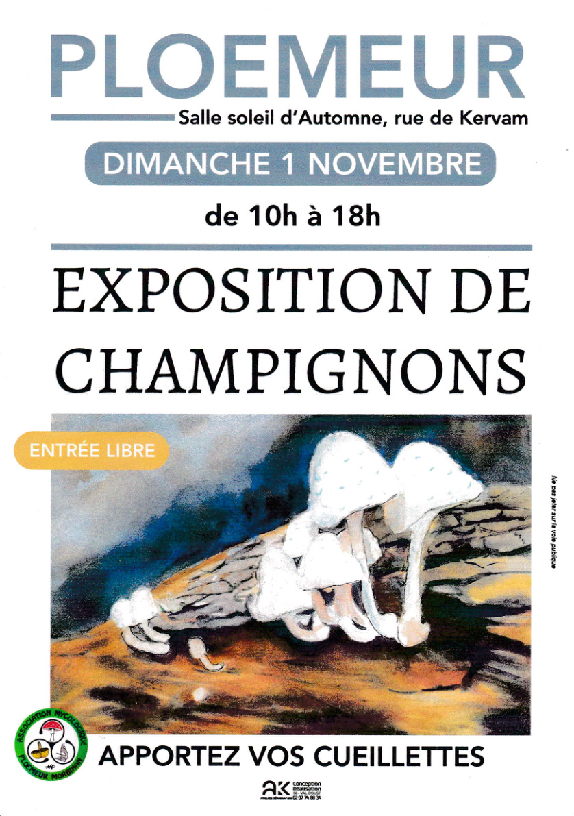 Affiche de l’exposition de champignons à Ploemeur, dimanche 1er novembre 2026, de 10 h à 18 h, entrée libre