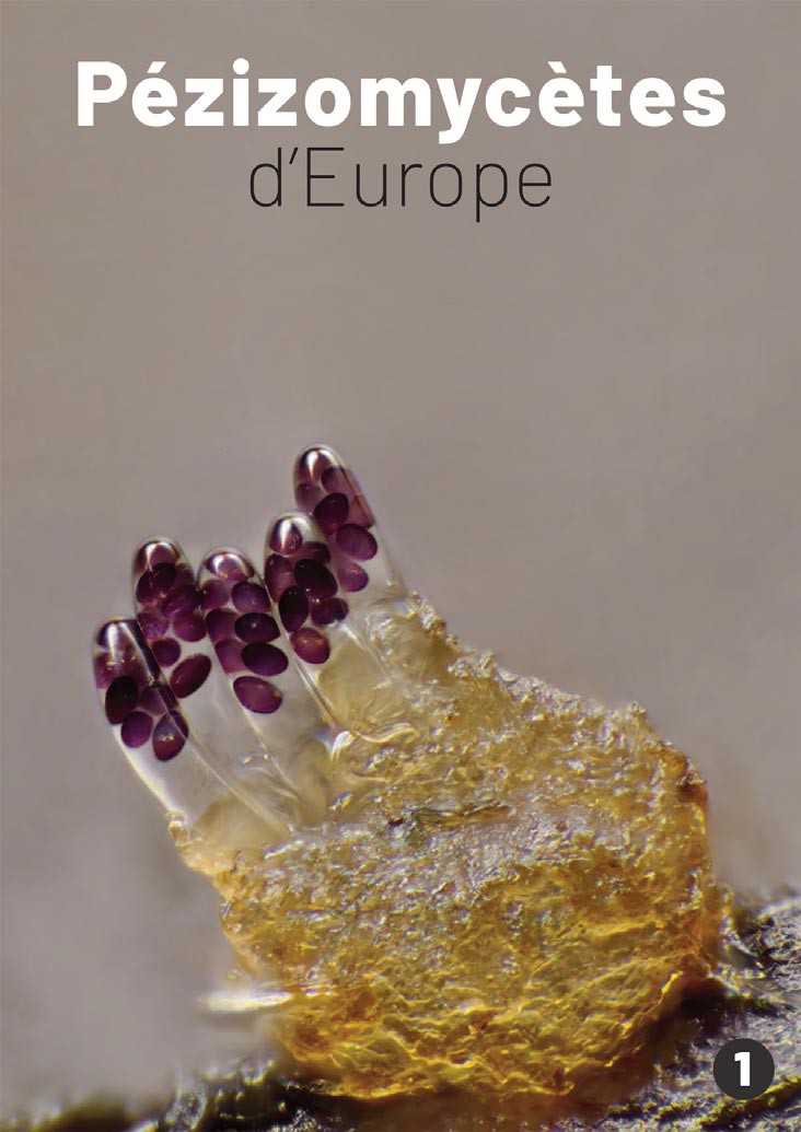 Couverture du volume 1 de Pézizomycètes d’Europe
