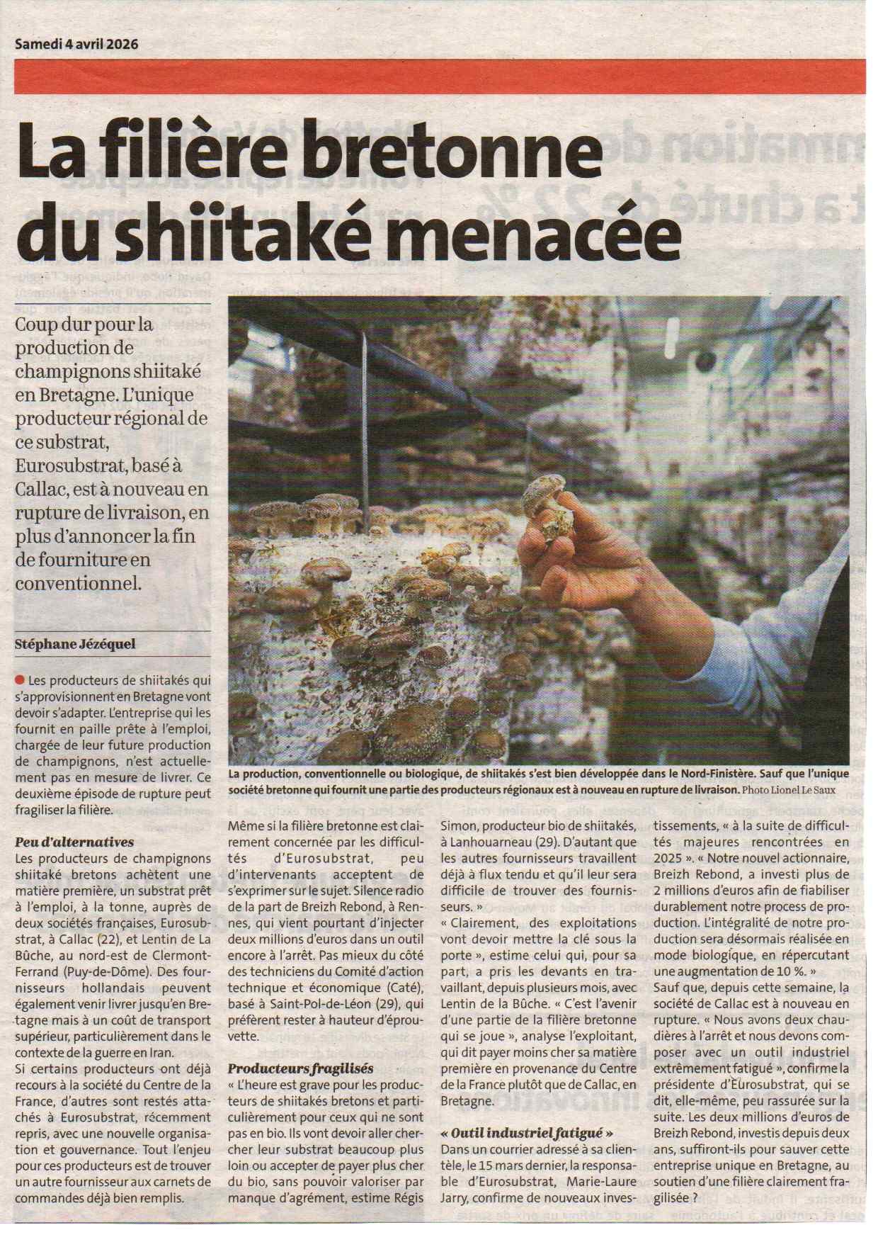 Coupure du Télégramme du 4 avril 2026 sur la filière bretonne du shiitaké